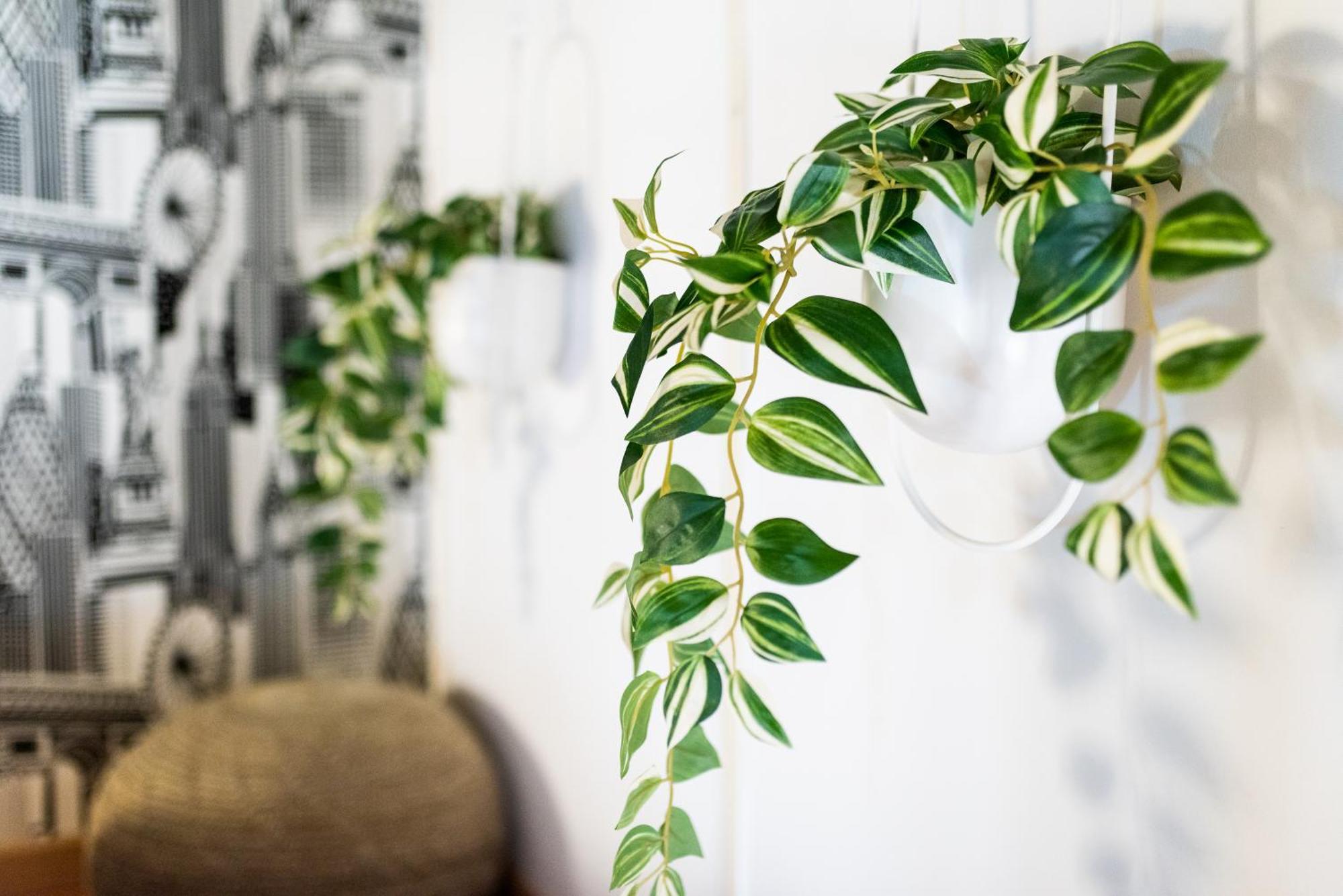 Apartamento Con Encanto, Centro גרנדה מראה חיצוני תמונה